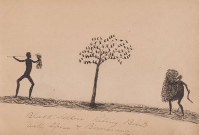 Black Fellow Killing Birds with Spear and Boomerang by Tommy McRae
